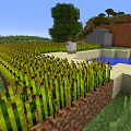Survival pic 1