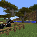 Survival town horse