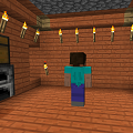Survival NPC